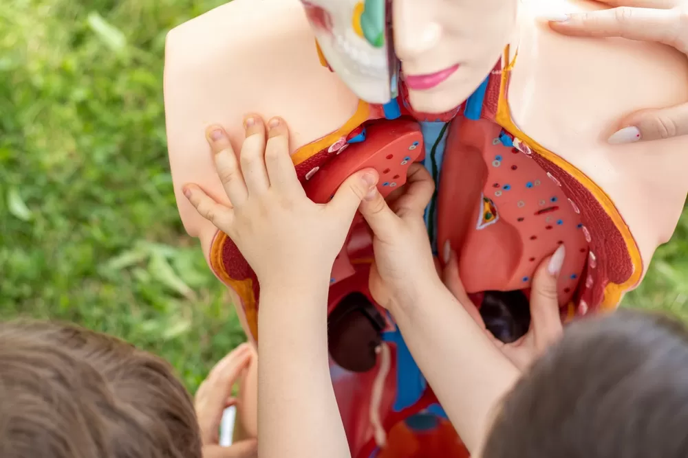 Formation Aux Imprimantes 3d