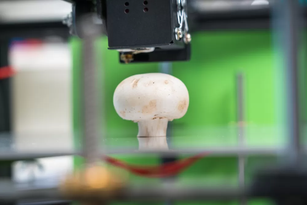 Impression 3d Alimentaire2