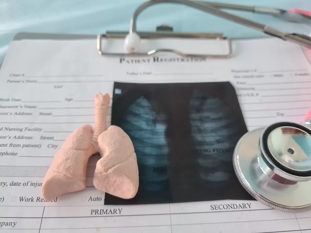 Impression 3d Dans L Education 1