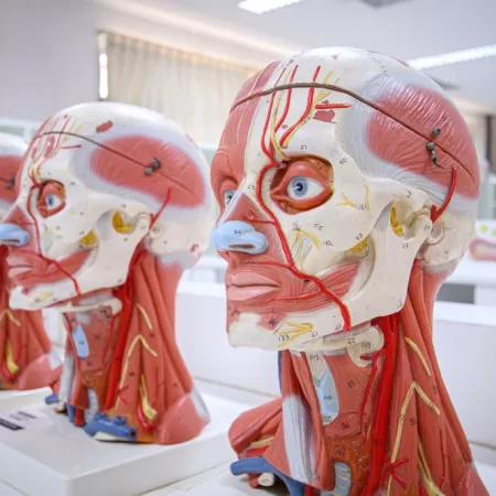 Impression 3d Dans L Education