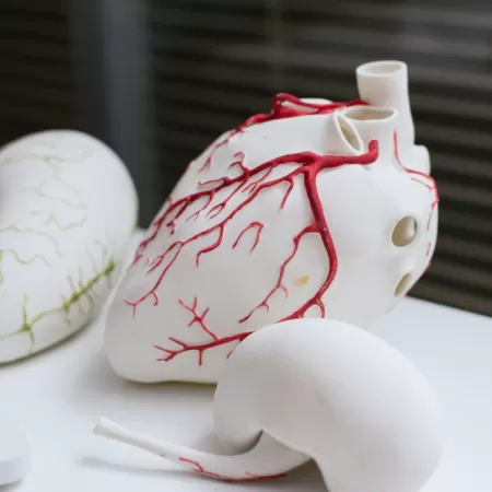 Impression 3d Dans Le Secteur De L Education 3