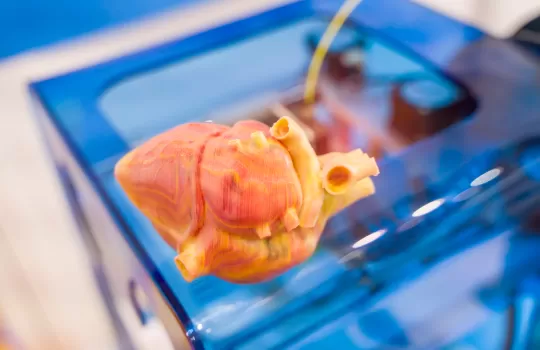 Impression 3d Dans Le Secteur De L Education