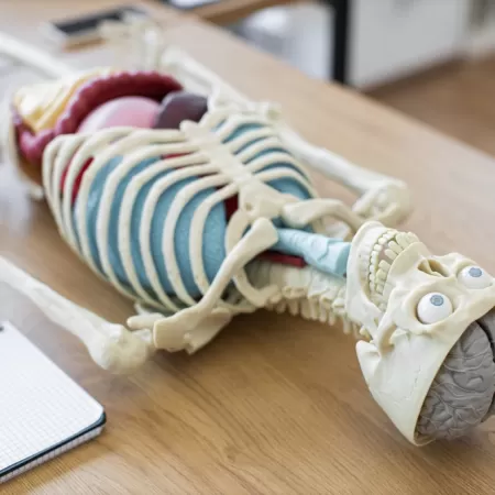 Impression 3d Secteur Medical