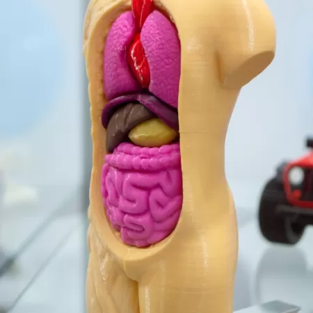 Imprimantes 3d Dans Le Secteur De L Education 1