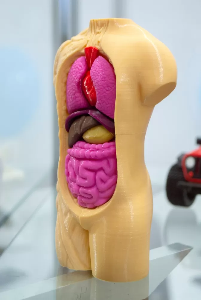 Imprimantes 3d Dans Le Secteur De L Education 1