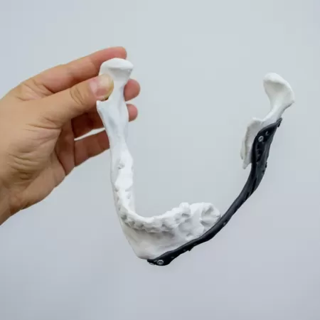 Modeles Medicaux 3d 1