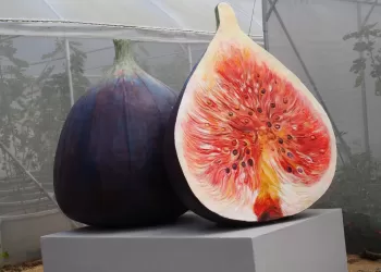 Moulage de sculptures