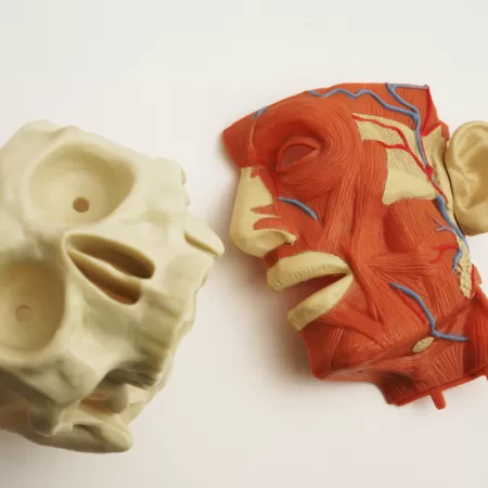 Production Biomedicale 3d 1 1