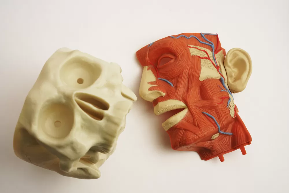 Production Biomedicale 3d 1 1