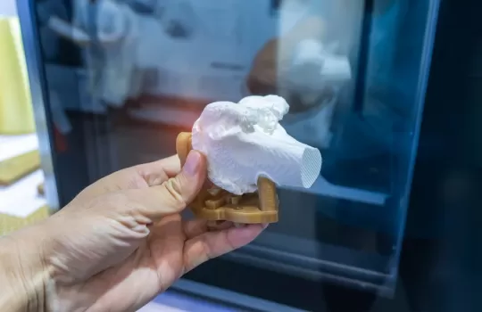 Production Biomedicale 3d