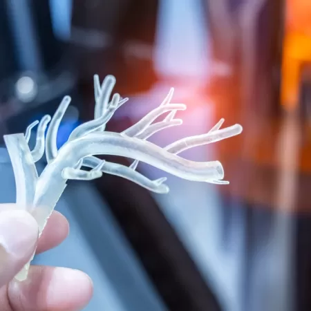 Production D Organes 3d