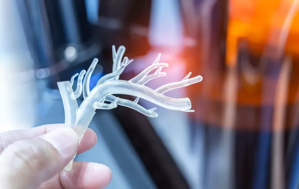 Production D Organes 3d