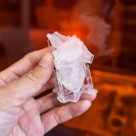 Production De Modeles 3d Sante