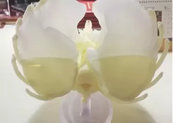 Impression de modèles 3D pour applications médicales