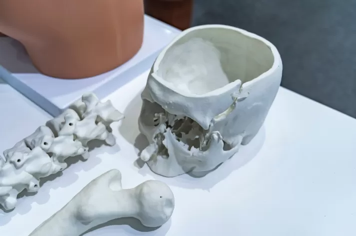 produktion von biomedizinischen prototypen 3d