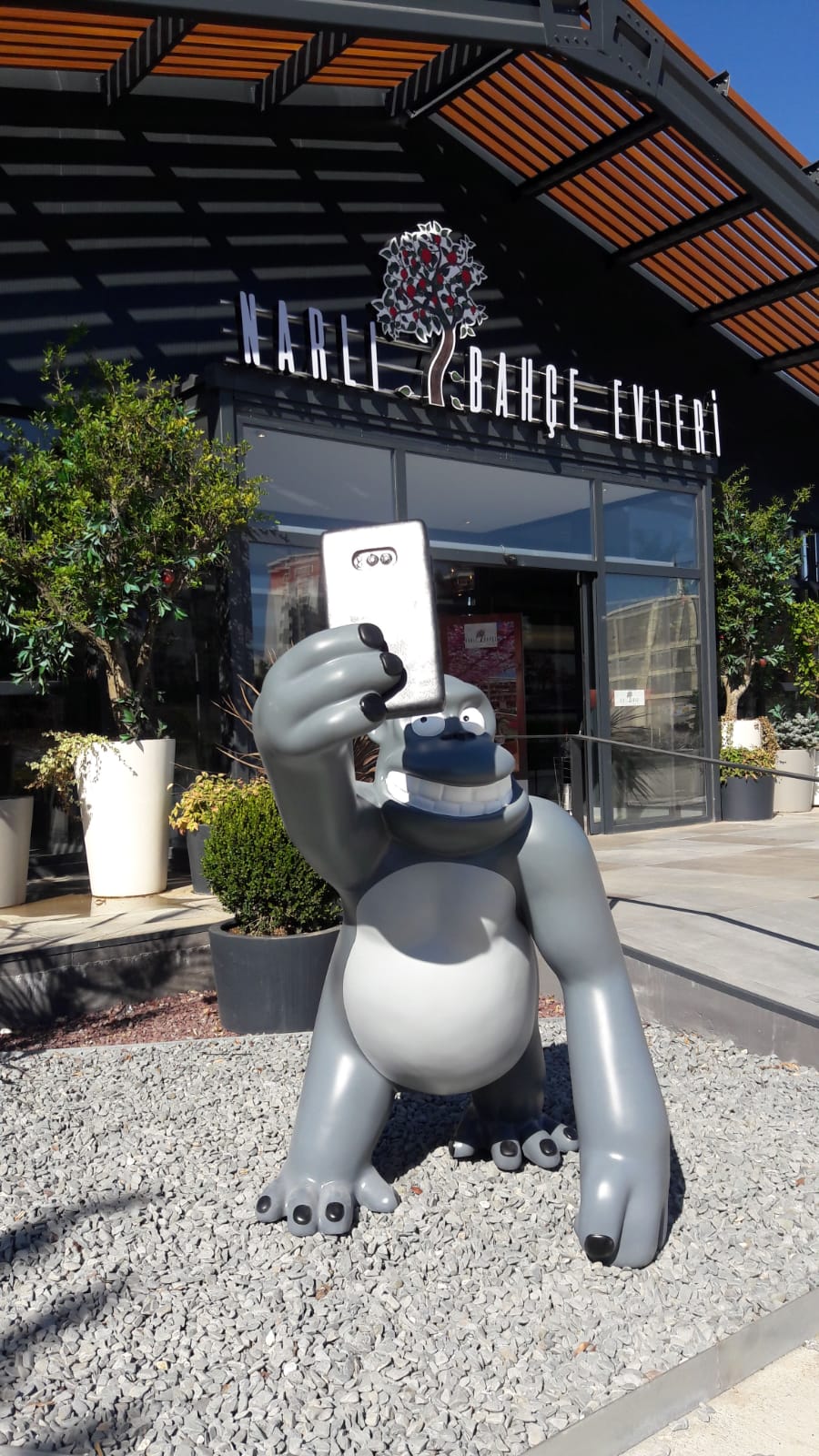 Projet De Parc A Theme