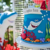 Projets De Production Fibre De Verre 5