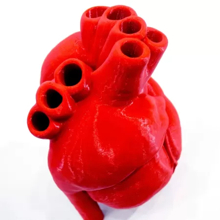 Societes De Production Biomedicale 3d