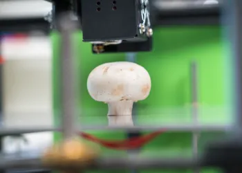 Comment l’impression 3D est-elle utilisée en agriculture ?
