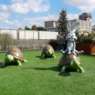 Impression d'animations de Personnages 3D