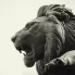 Sculptures Animalières